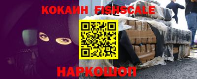 дмт Кингисепп