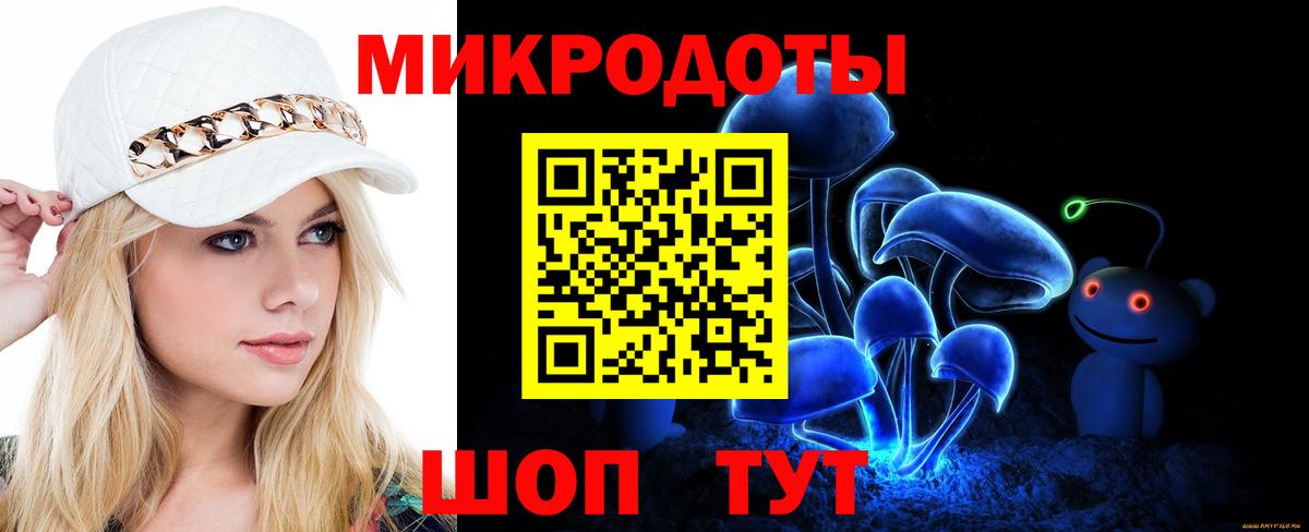Псилоцибиновые грибы Psilocybe Туймазы